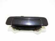 Türaußengriff hinten links AUDI A8 D2 (4D2, 4D8) 2.5 TDI 4a0839205