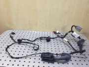 Türverkabelung hinten rechts LAND ROVER RANGE ROVER SPORT II (L494) 3.0 D 4x4 DK6214632BD