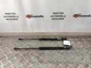 Heckklappendämpfer links Toyota Prius (W5) 1747360640N