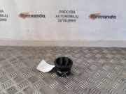 Frischluftgrill RENAULT MASTER III Furgon (FV) 2.3 dCi 125 FWD (FV0C, FV0D) 687601987R