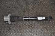 Stoßdämpfer hinten rechts LAND ROVER DISCOVERY V (L462) 2.0 D 4x4 DPLA-18W002-CD