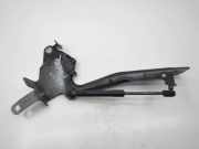 Motorhaubenscharnier rechts Renault Grand Scenic III (JZ)