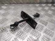 Türanschlag vorne links NISSAN LEAF (ZE0) Electric