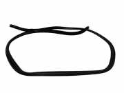 Dichtungsgummi der rechten hinteren Tür PEUGEOT 4008 1.8 HDi AWC