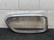 Gitter Grill vorne links BMW 5 (G30) 530 i 7473692