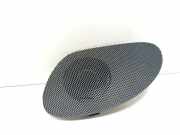 Türlautsprecher vorne links