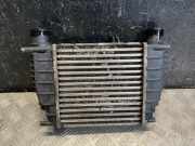 Ladeluftkühler NISSAN JUKE (F15) 1.5 dCi 14461EM00A
