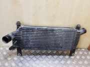 Ladeluftkühler NISSAN NP300 NAVARA (D40) 2.5 dCi 4WD 14461EB360