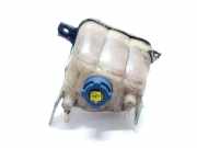 Ausgleichsbehälter FIAT DUCATO Furgon (250_, 290_) 160 Multijet 3,0 D C705