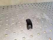 Dichtung für Düsenhalter Renault Kadjar (HA, HL)