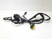 Kabel Tür Fiat Punto (176)