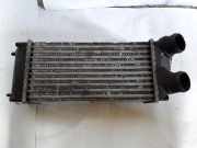 Ladeluftkühler CITROËN C4 II (B7) 1.6 HDi 110 9648551880