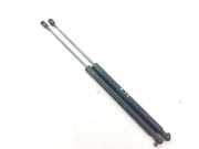 Heckklappe Gasdruckfeder links CITROËN C5 III Break (TD_) 2.0 HDi 140