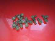 Schrauben FIAT DOBLO Cargo (223_) 1.3 D Multijet