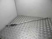 Schlauch Kühlung RENAULT ZOE (BFM_) ZOE 295X68956R