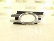 Gitter Grill vorne links MERCEDES-BENZ GL (X164) GL 420 CDI 4-matic (164.828) 1648851723