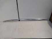 Dachreling links Audi A6 (4F, C6) 4F9860021J