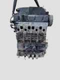 Motor VW CADDY III Furgon (2KA, 2KH, 2CA, 2CH) 1.9 TDI BLS