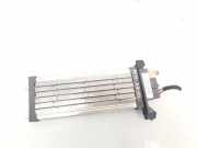 Elektrischer Schulterschulterkühler AUDI A4 Avant (8ED, B7) 2.0 TDI 16V 8E1819011