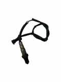 Sauerstoffsensor (Lambdasensor) SAAB 9-5 (YS3E) 2.3 Turbo 0258006174