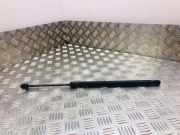 Heckklappe Gasdruckfeder links VW TOURAN (1T1, 1T2) 1.9 TDI 1T0827550E