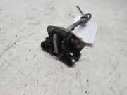 Türanschlag vorne links RENAULT CLIO II (BB0/1/2_, CB0/1/2_) 1.5 dCi (B/CB07) 1234
