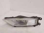 Nebelscheinwerfer links VW TIGUAN (AD1) 2.0 TDI 5NA941699A