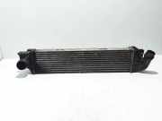 Ladeluftkühler RENAULT TRAFIC III Furgon (FG_) 1.6 dCi 145 144960050R