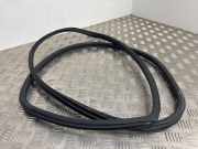 Türdichtung Renault Koleos I (HY)