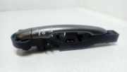 Türaußengriff hinten links RENAULT LAGUNA Coupe (DT0/1) 2.0 dCi (DT01, DT09, DT12, DT1D)