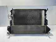 Kühler Ford Kuga II (DM2) DV6119710BB