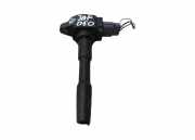 Hochspannungszündkabel (Steckkabel) RENAULT KADJAR (HA_, HL_) 1.2 TCe 130 224332428R