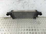 Ladeluftkühler MERCEDES-BENZ M (W164) ML 320 CDI 4-matic (164.122) A1645001900
