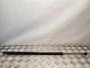 Heckklappe Gasdruckfeder rechts PEUGEOT EXPERT Tepee (VF3V_) 2.0 HDi 165 1498071080