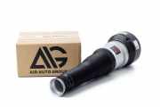 Gasdruckfeder Mercedes-Benz S-Klasse (W221) A2213205613