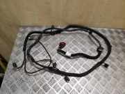 Kabelbaum Hinteren Parksensoren CITROËN DS4 1.6 HDi 110 9673501380