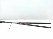 Heckklappe Gasdruckfeder links OPEL VIVARO Furgon 1.6 CDTI 8200162697