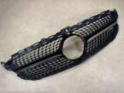 Vorderer oberer Gitter MERCEDES-BENZ C (W205) C 400 4-matic (205.066) 2058882060