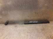 Heckklappe Gasdruckfeder links MERCEDES-BENZ B (W245) B 150 (245.231) 1699801064 a1699800964