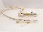 Dach SRS rechts CITROËN C8 (EA_, EB_) 2.2 HDi B372022499RH 1000158