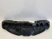 Vorderer oberer Gitter TOYOTA AYGO (_B1_) 1.0 (KGB10_) 531110H010