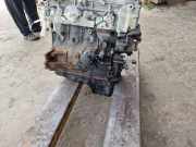 Motor ohne Anbauteile (Benzin) Nissan Almera II (N16) QG15