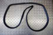Türgummi links hinten Toyota RAV 4 IV (A4) 6233242080