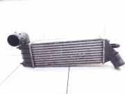 Ladeluftkühler Citroen C8 (E) 1489396080
