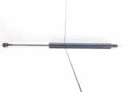 Heckklappe Gasdruckfeder links