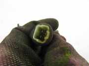 Lautsprecher im Armaturenbrett SSANGYONG REXTON (GAB_) 2.7 Xdi 8931008002LAM