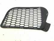 Gitter vorne unten BMW X5 (E70) xDrive 30 d 51117205577