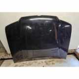 Motorhaube VW BORA Variant (1J6) 1.9 TDI