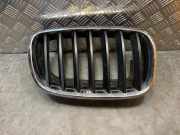 Gitter Grill vorne rechts BMW X5 (E70) xDrive 30 d 7171396