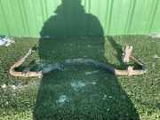 Stabilisator hinten Renault Master III Kasten (FV) 562301630R